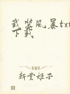 武装风暴txt下载封面