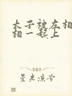 太子被左相和右相一起上