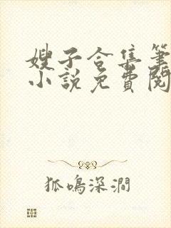 嫂子合集笔趣阁小说免费阅读