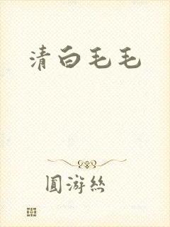 清白毛毛封面