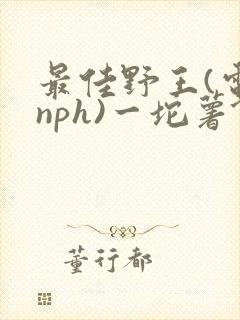 最佳野王(电竞nph)一坨薯饼封面