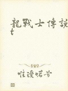 龙战士传说txt
