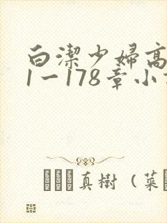 白洁少妇高义第1一178章小说