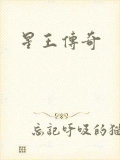 星王传奇