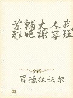 首辅大人我们和离吧谢容珏封面