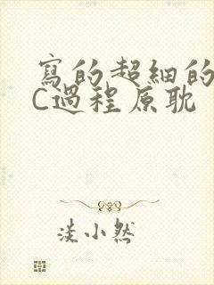 写的超细的多肉C过程原耽