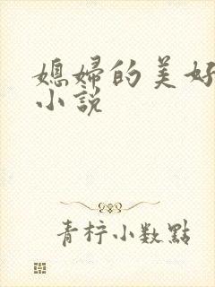 媳妇的美好时代小说