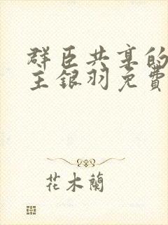 群臣共享的小公主银羽免费阅读