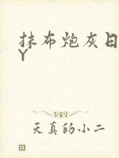 抹布炮灰日记BY封面