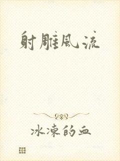 射雕风流封面