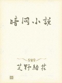 暗网小说封面