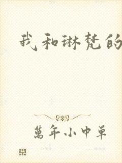 我和琳梵的故事