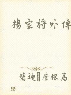 杨家将外传封面