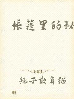 帐篷里的秘密封面