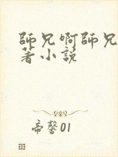 师兄啊师兄的原著小说封面