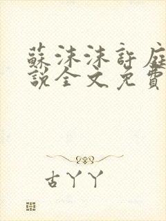 苏沫沫许庭川小说全文免费阅读封面