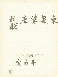 我老婆是东方不败