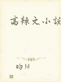 高辣文小说