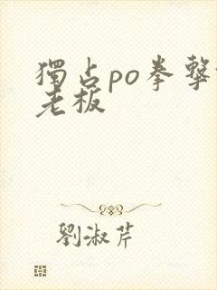 独占po拳击馆老板