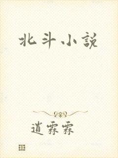 北斗小说