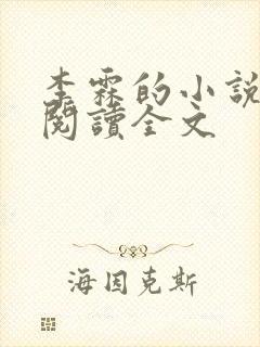 李霖的小说免费阅读全文