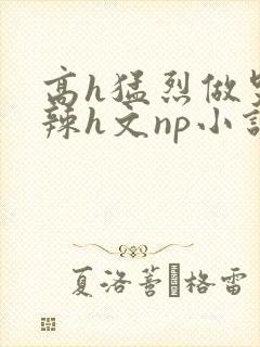 高h猛烈做哭高辣h文np小说