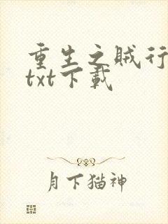重生之贼行天下txt下载