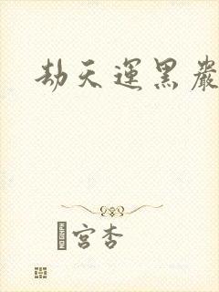 劫天运黑岩封面