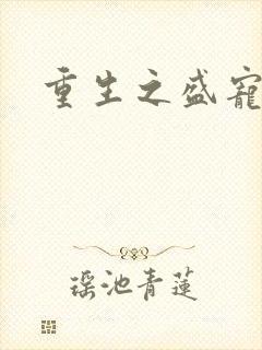 重生之盛宠封面