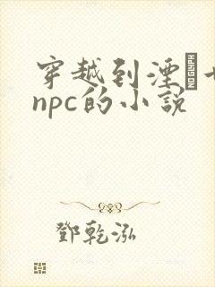 穿越到湮婸世界npc的小说