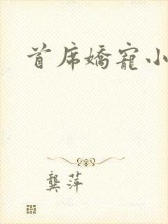 首席娇宠小情人