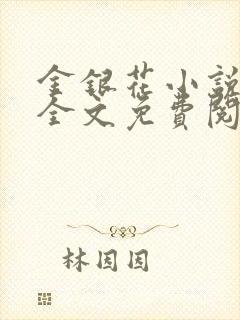 金银花小说在线全文免费阅读封面