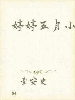 婷婷五月小说封面