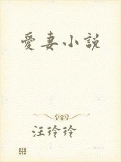 爱妻小说