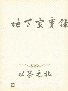 地下室实录封面