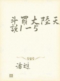 斗罗大陆天狂传说1一5