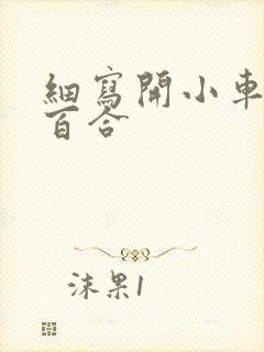 细写开小车车的百合封面