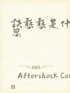 铁憨憨是什么意思封面