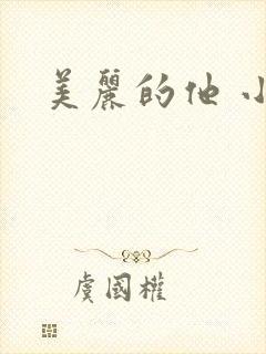 美丽的他 小说