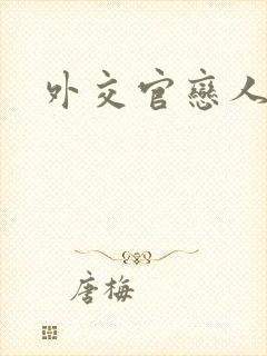 外交官恋人小说封面