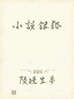 小说银狐