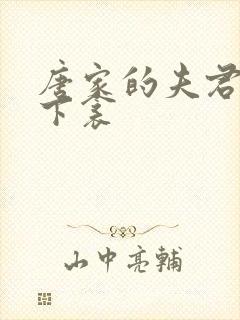 唐家的夫君们帘下衾