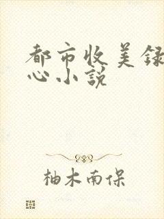 都市收美录宁素心小说