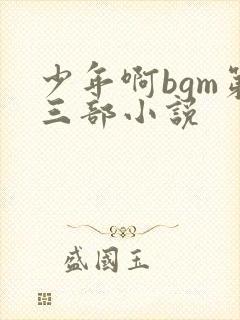 少年啊bgm第三部小说