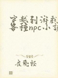 穿越到游戏里和各种npc小说封面