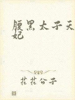 腹黑太子天降萌妃