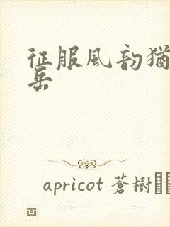 征服风韵犹存的岳封面