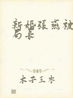 新婚张燕被两个局长