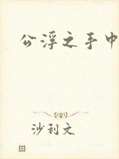公浮之手中字5