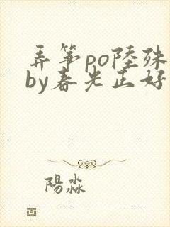 弄筝po陆殊词by春光正好封面